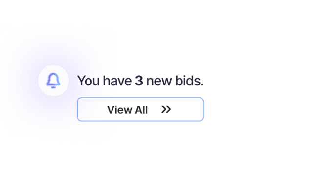 Brands bidding interface